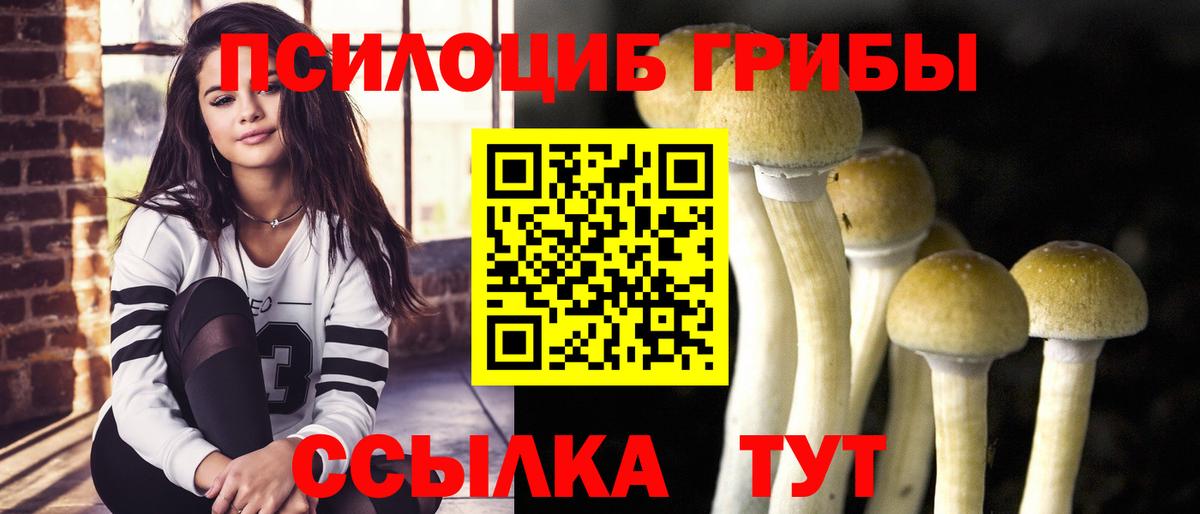 Альметьевск  Псилоцибиновые грибы прущие грибы  Галлюциногенные грибы Psilocybine cubensis  Вход с VPN 